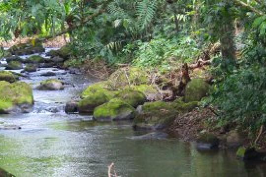 Eco Senderos