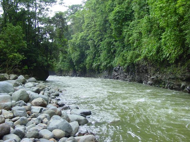 Río Toro