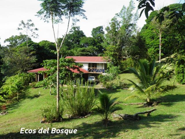 Vista de jardínes y la cabaña.