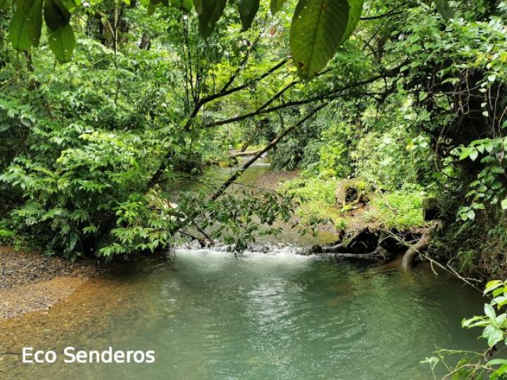 Vista de la quebrada Tirimbina