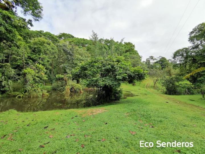 Camino de ingreso al área frente al rancho