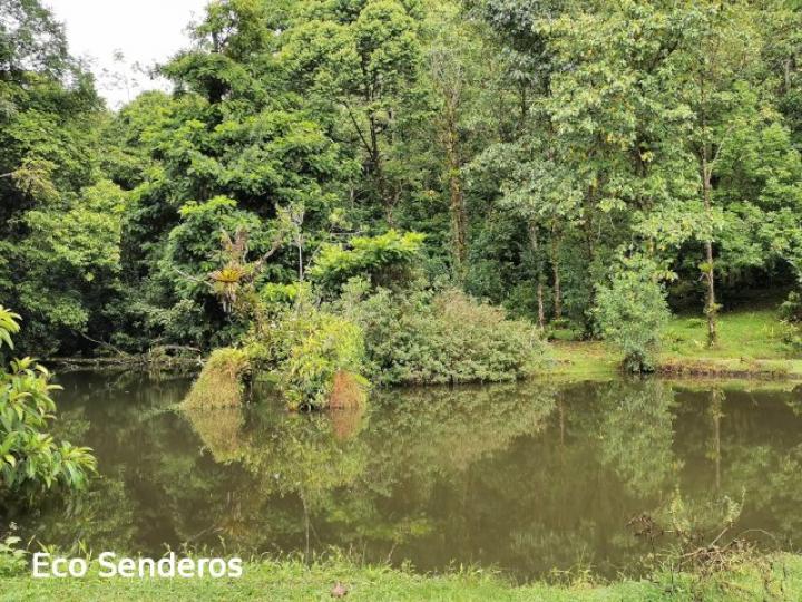 Vista del gran estanque