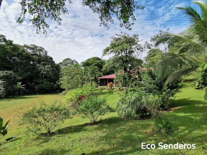 Jardines y cabaña al fondo