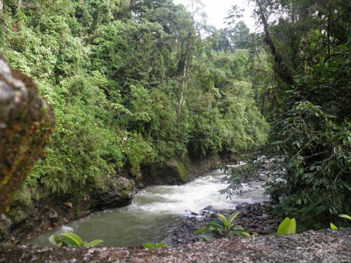 Río Toro desde centenario puente