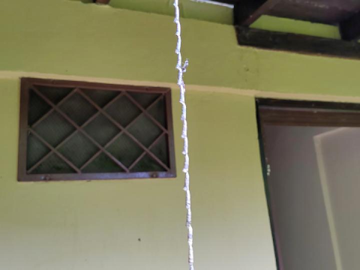 Mischocyttarus vaqueroi